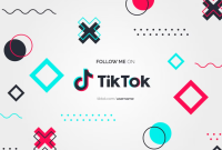 کنگره لایحه جدیدی را ارائه می کند که اجازه می دهد تا TikTok در سراسر کشور ممنوع شود