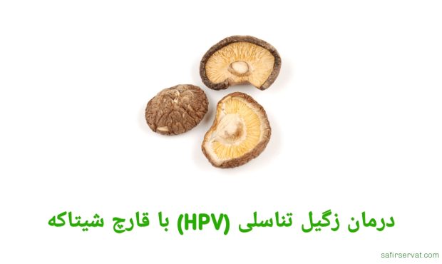 درمان زگیل تناسلی (HPV) با قارچ شیتاکه | قارچ شیتاکه چیست؟