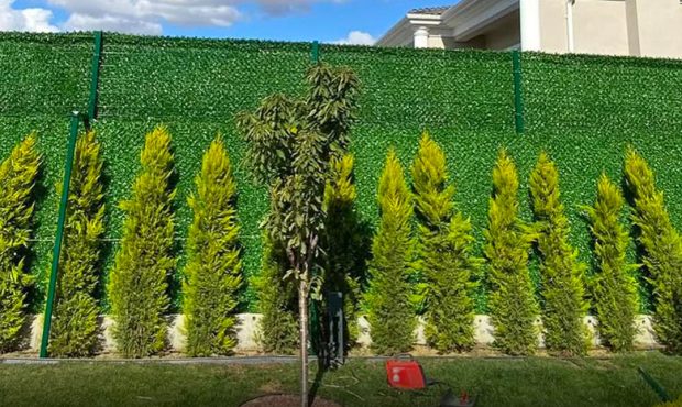 خرید فنس چمنی: راهنمای کامل انتخاب و خرید حفاظ سبز و زیبا برای فضاهای شما خرید فنس چمنی: راهنمای کامل انتخاب و خرید حفاظ سبز و زیبا برای فضاهای شما